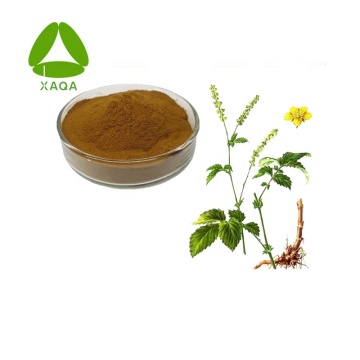 Hairyvein Agrimonia Herb Extract Powder