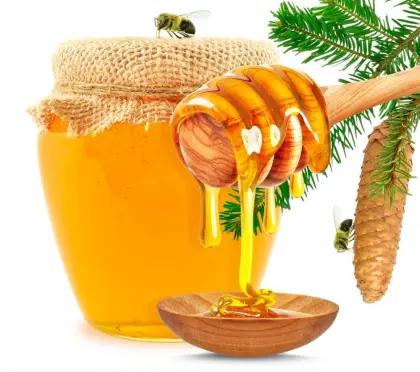 Golden yellow pure rape honey bulk sale