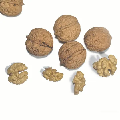 High Mountain Walnut Fruit