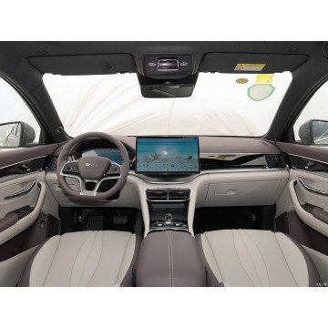 Comfortable byd song plus ev