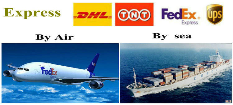 shipping