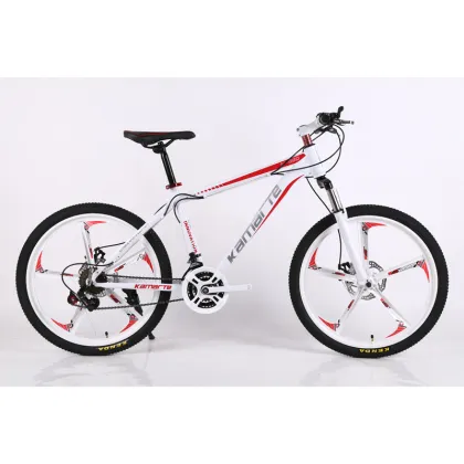 Custom Wheel Set and Carbon Frame for Adult MountainPeak Stricker/Road Bike