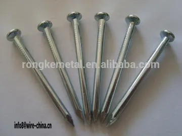 Galvanized concrete nails / cement nails Manufacturer