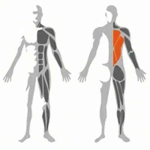 Plate loaded T-Bar Row