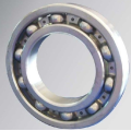 Single Row Deep Groove Ball Bearing (61920)