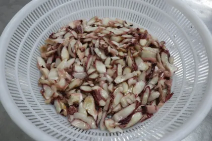 Frozen boiled octopus slice