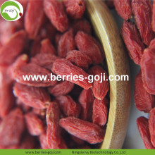 Factory Wholesale Super Food Nutrition Malaysia Wolfberry