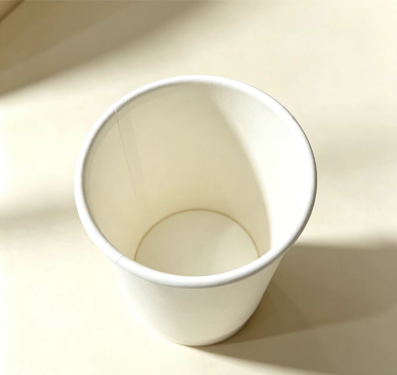 Insulated Paper Cup