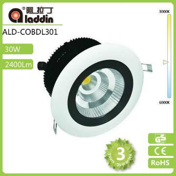 High Lumen 30w down light