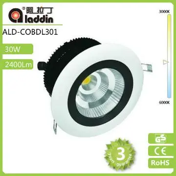 30w COB led downlight huizhuo lighting