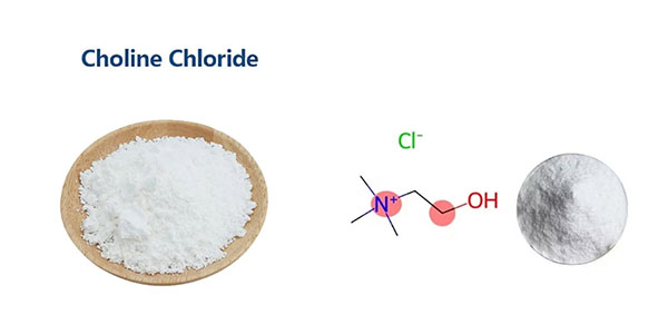 Factory Supply Choline chloride CAS NO.67-48-1