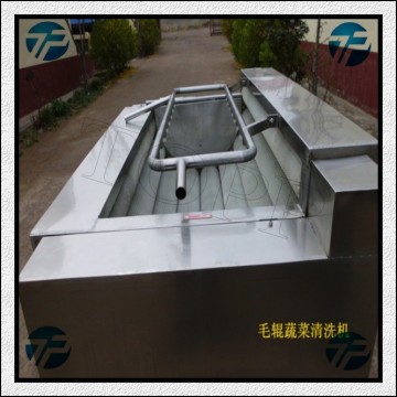 Vegetable and Fruit Washing Machine