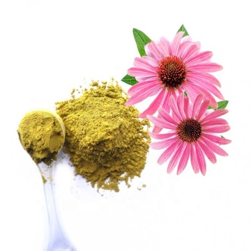 chamomile extract 1.2% apigenin