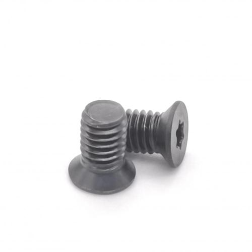 Torx Countersunk Head Screw M6-1.0*10 Special Screw