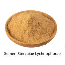 Buy online Semen Stercuiae Lychnophorae Extract powder