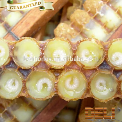 fresh royal jelly (bee milk)