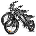 DK401 Electric Fat Bike