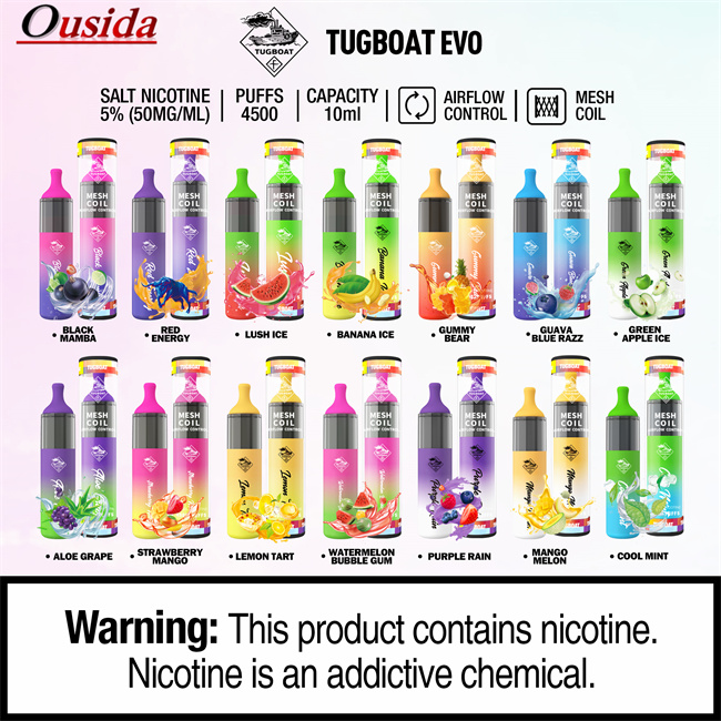 Flavor Disposable Electronic Cigarette