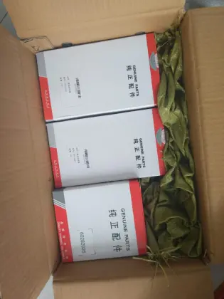 B222100000521 60310823 filters for Crane Truck