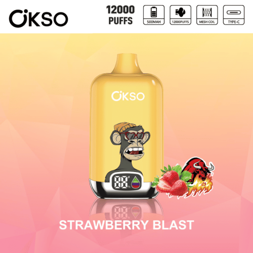 Tornado 12K Puff OKSO Disposable Vapes Bulk Price
