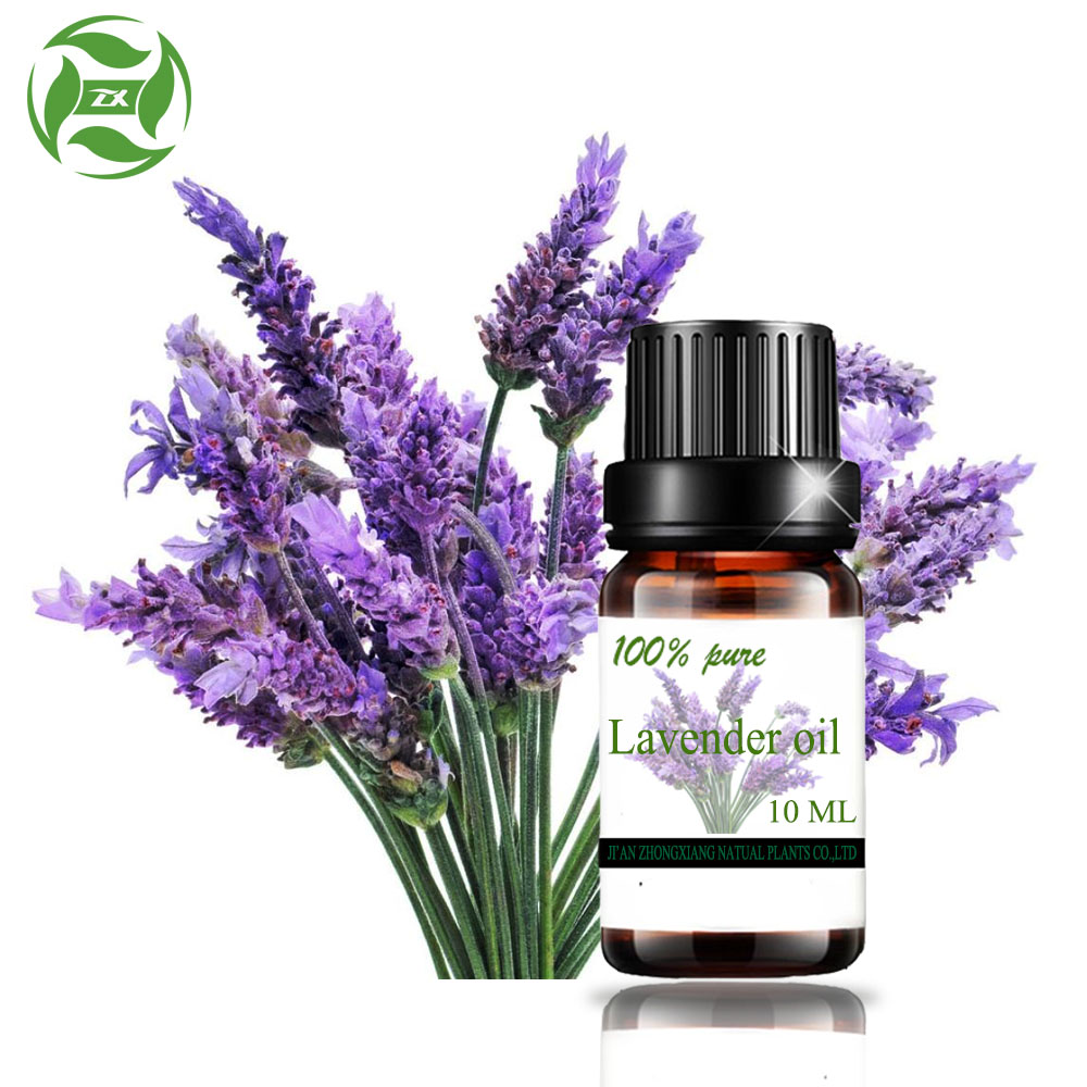 lavender oil