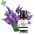 Aceite esencial de lavanda aromaterapia de alta calidad.