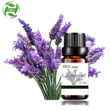 Alta qualidade ogranic Aromaterapia óleo essencial de lavanda