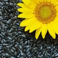 Natural vegan sunflower seed protein