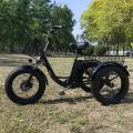 S2 Fat Tire Ηλεκτρικό τρίκυκλο