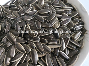 sunflower seeds shell drying sunflower seeds