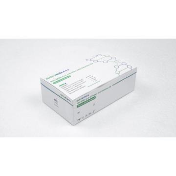 COVID-19 POCT DETECTION 키트