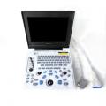 Laptop ultrasound equipment for shiba inu heart disease