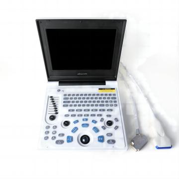 Equipamento de ultrassom de laptop para doença cardíaca shiba inu