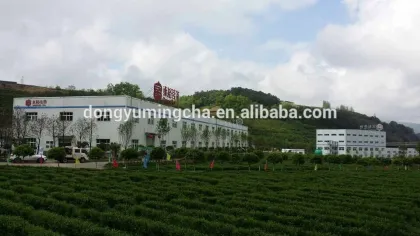 Dong brand Chinese organic tea/health tea