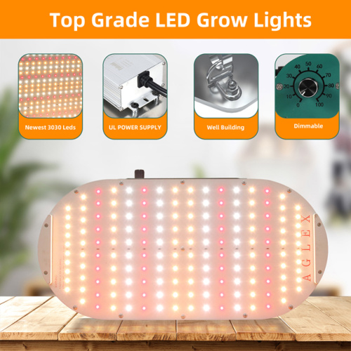 Best Samll Panel Grow Light for Indoor Plants