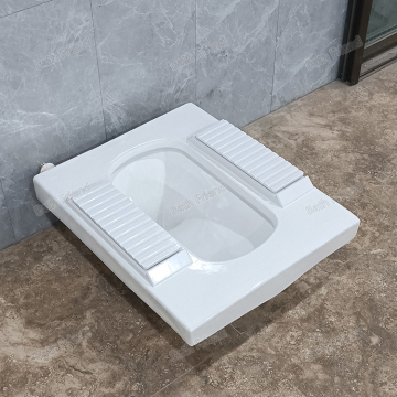Best Choice Tankless Automatic Flush Ceramic Squat Toilet