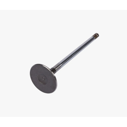 Automotive Intake Valve Set