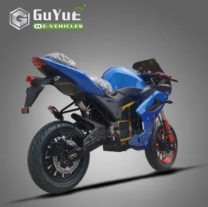 Adult Mini Electric Motorcycle