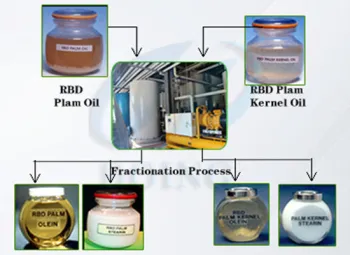 High quality palm oil refinery and fractionation plant