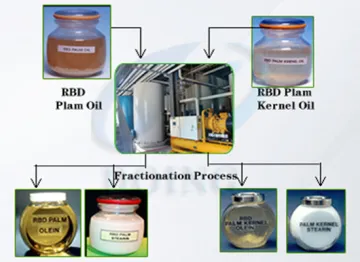 High quality palm oil refinery and fractionation plant
