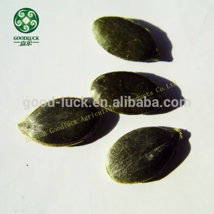 Styrian Type GWS A, AA, AAA Pumpkin Seeds                        
                                                Quality Choice