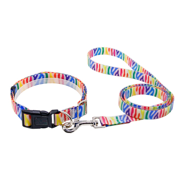 Patroon geprinte PVC Dog Training Collars Set met Durasoft Nylon -riem en plastic gesp - XS -grootte met linten