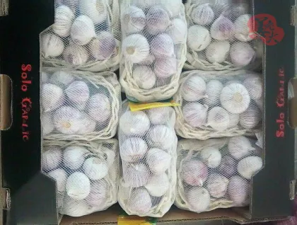 Fresh Grade A Garlic