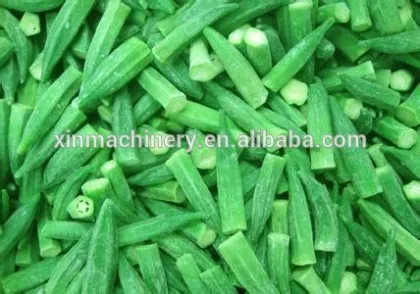 Automatic vegetable washer/vegetable washing machine/vegetable cleaning machine