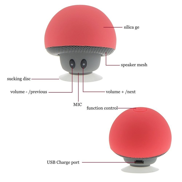 High End Speaker