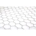 tela de arame hexagonal galvanizado por imersão a quente / arame de galinheiro