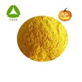 Freeze Dried / Spray Dried Pumpkin Powder