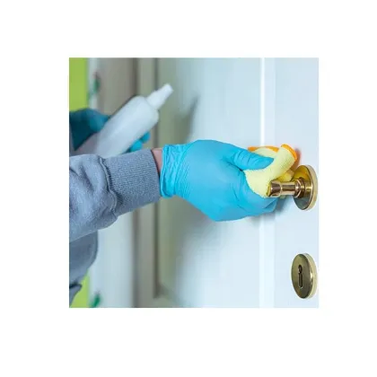 Disposable Nitrile Gloves Examination Gloves, Nitrile Gloves