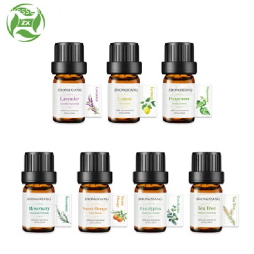 Factory directly privide Carrot Seed Essential Oil