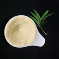 supply Freeze dried Aloe vera extract powder